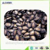 New harvest of raw watermelon seeds in Xinjiang China, whole sale, Made in China