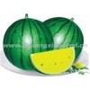 Yellow Butterfly yellow flesh watermelon hybrid seed