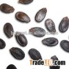 Hot Sale Black Watermelon Seed with good quality