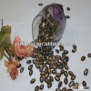 New raw black melon seeds 9cm in bulk