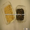 2012 availiable crop black watermelon seeds 9cm in cheap price