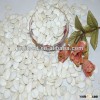 crop new chinese yellow pumpkin seeds dark green pumpkin kernel