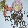 Chinese watermelon seeds 11cm in black