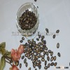 12cm China black watermelon seeds