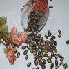 HOT 7cm China black watermelon seeds for sacks