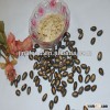 Chinese watermelon seeds 10cm in black