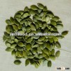 crop new natural chinese yellow pumpkin seeds dark green raw pumpkin kernel