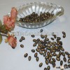 Sell raw black watermelon seeds 11cm on sale