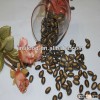 Raw dried black melon seed in shell 9cm,HOT SALE
