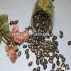 HOT 12cm China black watermelon seeds for sacks