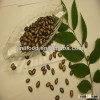 Dried fresh black melon seed 11cm for snacks