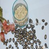 Chinese watermelon seeds 8cm in black