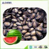 Hot sale for air dried watermelon seed, direct factory , in China
