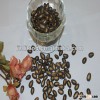 New crop fresh black melon seed 10cm from Kingland