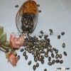 New crop fresh black melon seed 8cm from Kingland