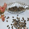 Chinese best black melon seed 11cm