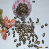 Super quality Chna black melon seeds 11cm