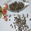 fine black melon seed 8cm from China