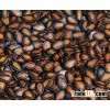 red watermelon seeds kernels for sale