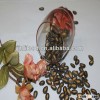 HOT 11cm China black watermelon seeds for sacks