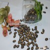 Raw dry black melon seed 10cm, 2013 new crop