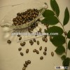 Dried fresh black melon seed 10cm for snacks