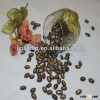 fine black melon seed 9cm from China