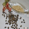 Raw black melon seeds 10cm for sale