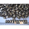 Dry Middle Sized Black Melon Seeds for Human Snack