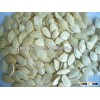 grade aa pumpkin seeds kernel pepitas top quality