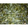 pepitas shine skin pumpkin seeds kernel