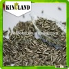 New Crop Split Sunflower Seeds For Bakery