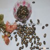 2013 new crop black watermelon seeds 9cm