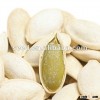 snow white melon seeds