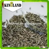 Wholesale export biggest sunflower seeds