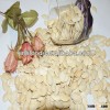 chinese origin yellow shine skin pumpkin seeds raw seeds