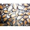 new crop black watermelon seeds 2013 new crop