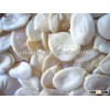 2013 new crop black and red Watermelon seeds Kernels