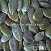 GWS chinese pumpkin seeds snow white manufacturer kernel pepitas