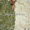 crop 2012 yellow skin skin shine skin pumpkin seeds