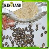 roasted watermelon seed