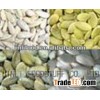 raw new pumpkin seeds grade aa shine skin pumpkin seeds