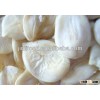 fresh watermelon seed kernel high quality