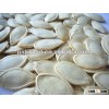 2012 crop shine skin pumpkin seeds yellow skin