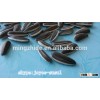 Sunflower Seed/Black sunflower seeds 5009 240-250pcs/100g