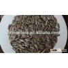 Sunflower Seed/Black sunflower seeds