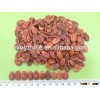 Chinese Black /Red water melon seeds