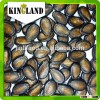 black watermelon seeds for planting