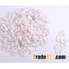 red water melon seeds
