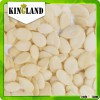wholesale watermelon seed kernels